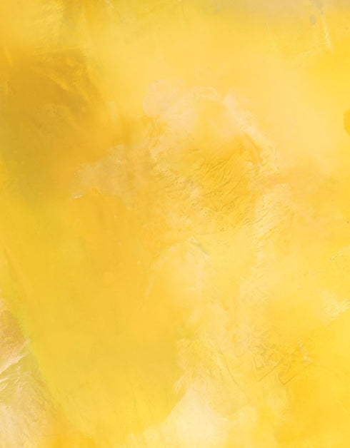 Screaming Yellow Zonker | Framed Giclee Print on Canvas